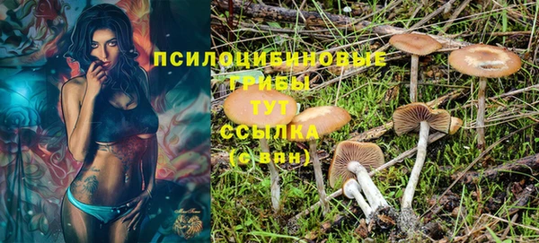 соль курить ск Богородицк