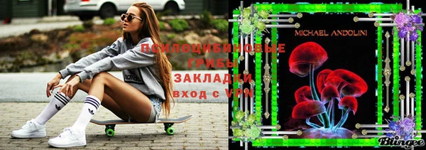 соль курить ск Богородицк
