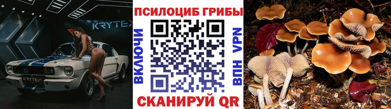 Псилоцибиновые грибы MAGIC MUSHROOMS Старица